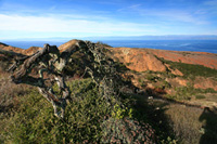 Santa Cruz Island