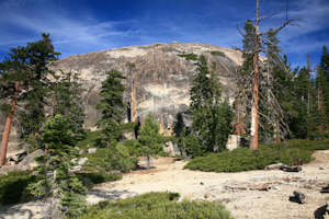 Sentinel dome